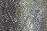 Rowberrow fibreglass roof work